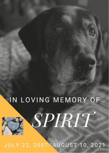 Memories of Spirit: 7/22/07-8/10/21