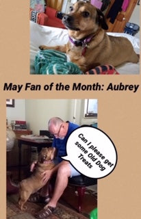 May: Fan of the month