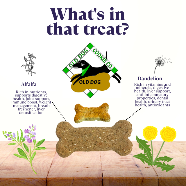 Let's talk plants!!