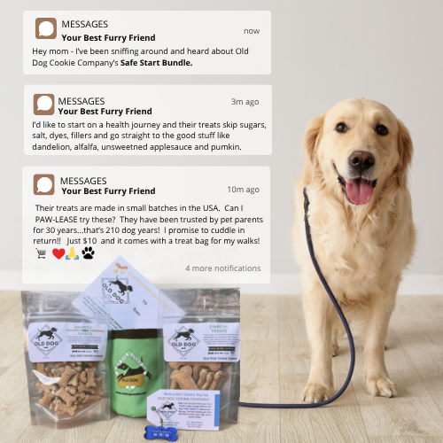 Healthy Hound Diabetic Starter Pouch Dog Treats Old Dog Cookie