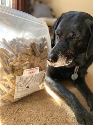 Bulk Arthritis Relief Dog Treats ~ by Old Dog Cookie Company