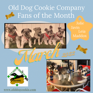 March 2022 Fan(s) of the Month