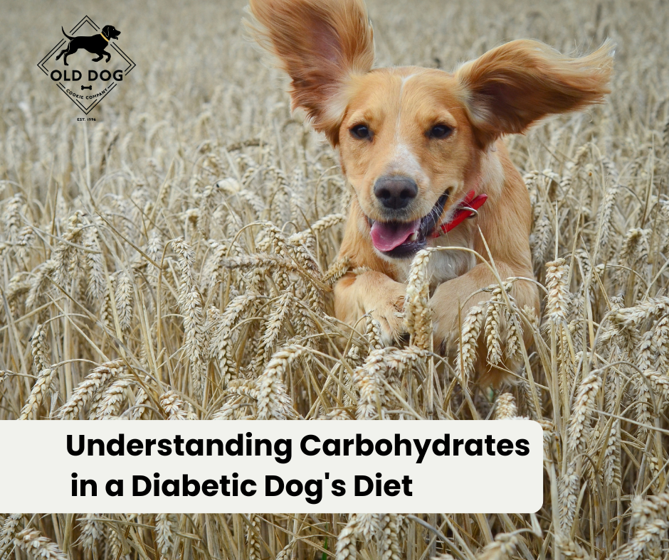 Understanding Carbohydrates in a Diabetic Dog's Diet
