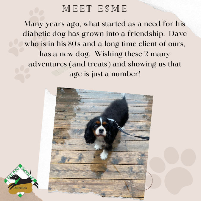 Age is just a number