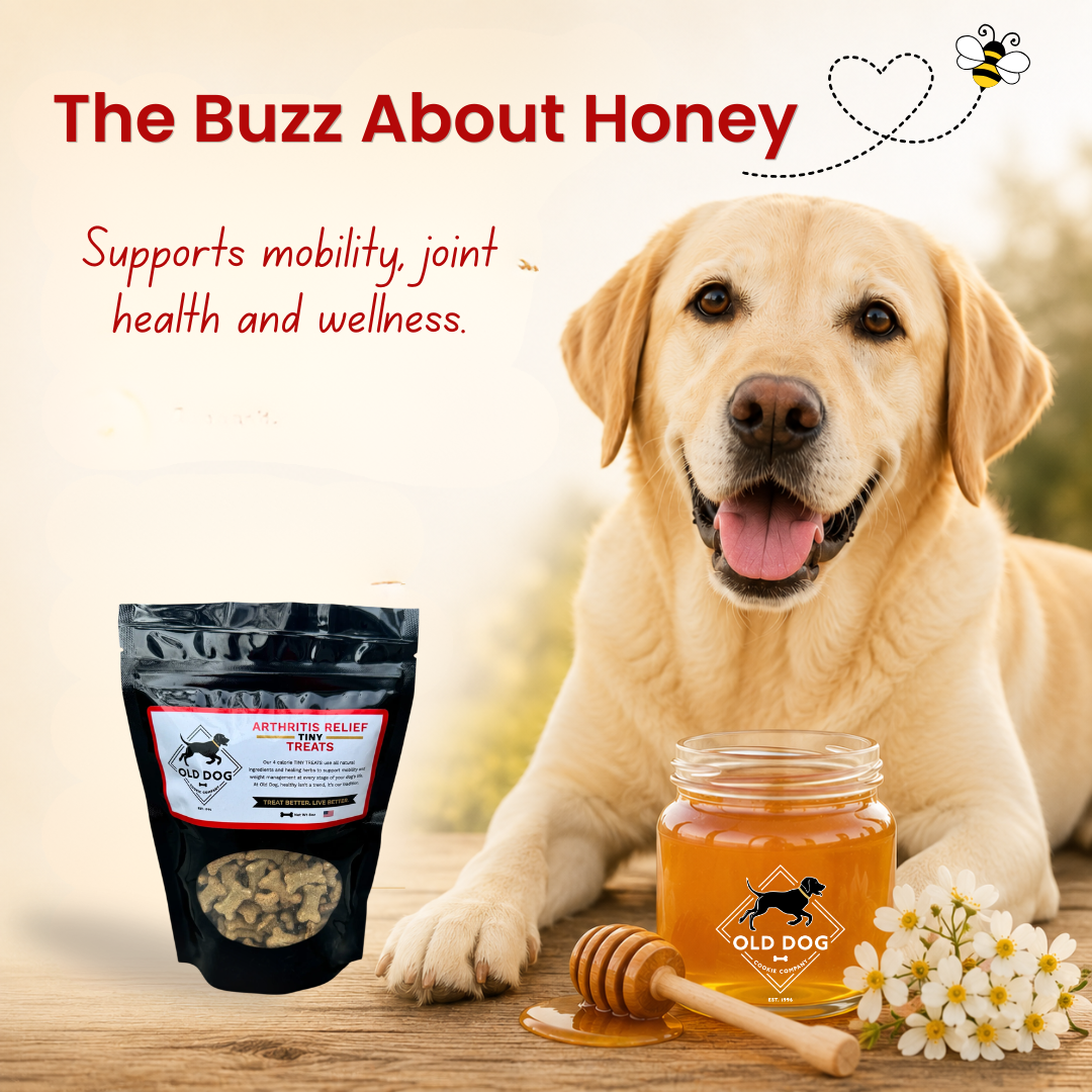 Honey for Dogs: Nature's Sweet Support for Joint Health