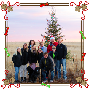 A 2019 holiday wish to our Old Dog family