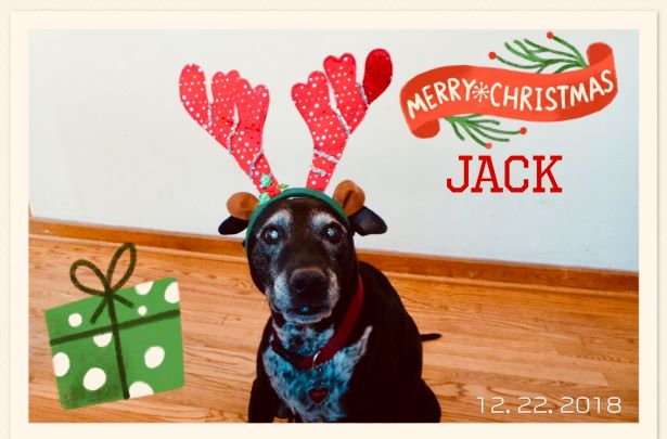 DECEMBER: FAN OF THE MONTH