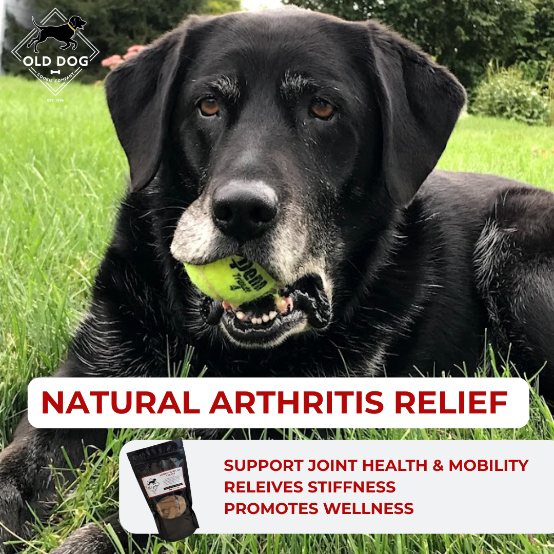 The Best Natural Hip and Joint Treats for Dogs - Old Dog Cookie Company - Natural Joint Support For Dogs Naturally
