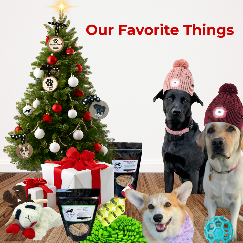 Our Favorite Dog Gifts for the Holidays