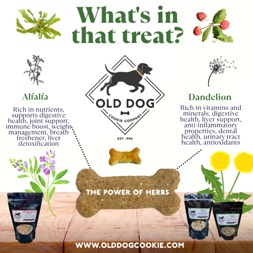 Let's talk plants!!