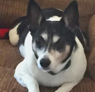 April: Fan of the Month