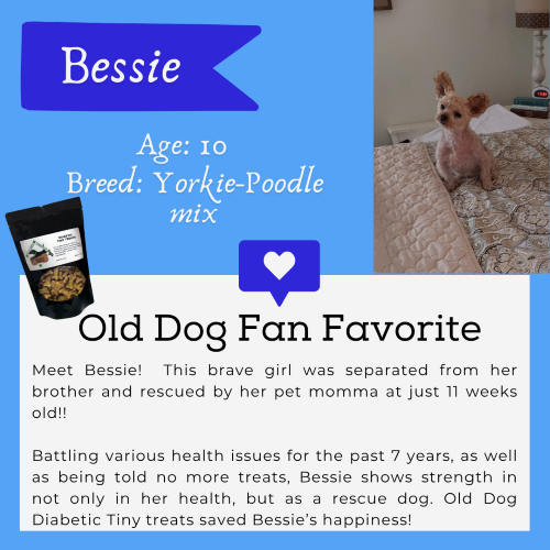 A treat worth waiting for!