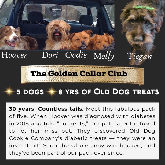 Eight years, Five Dogs. One trusted treat.