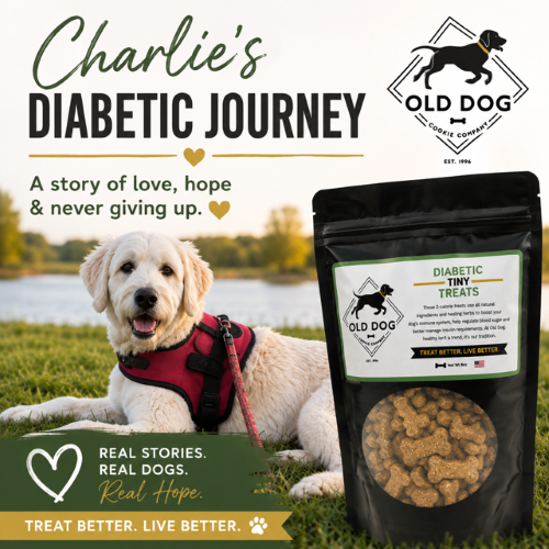 Charlie's Journey with Canine Diabetes