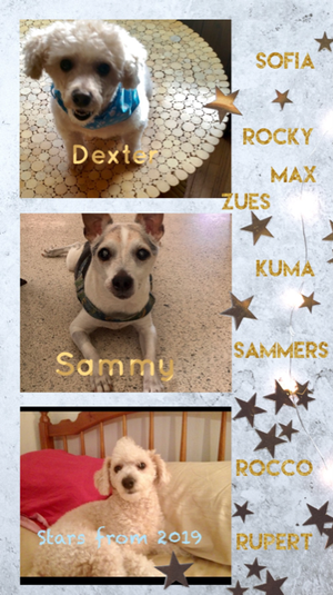 Stars from 2019