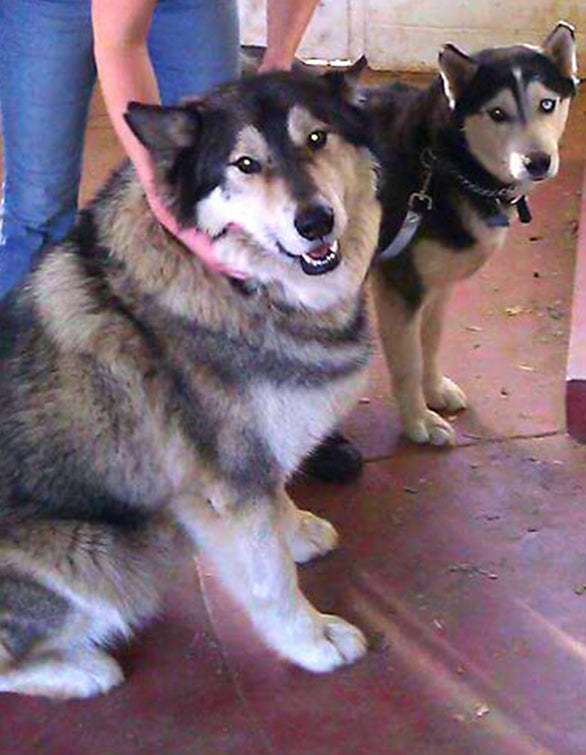 Dimitri's Story - The Challenges of Diabetes