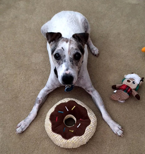 February: Fan of the Month