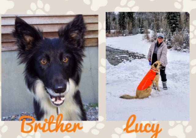 JANUARY: FAN OF THE MONTH