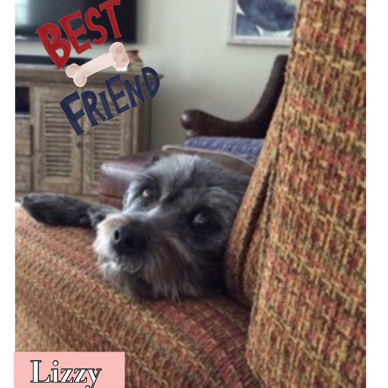 August: Fan of the month