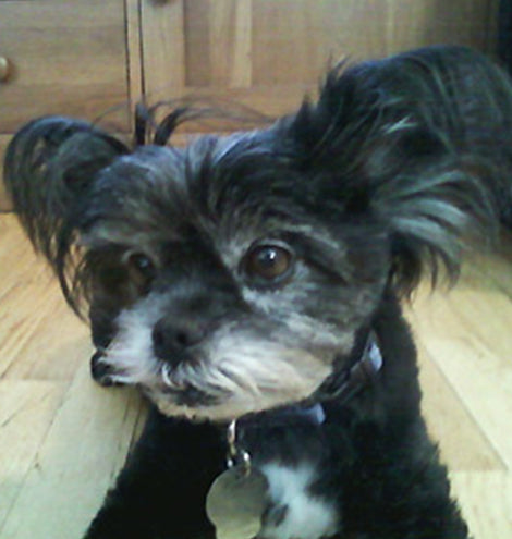 January: Fan of the Month