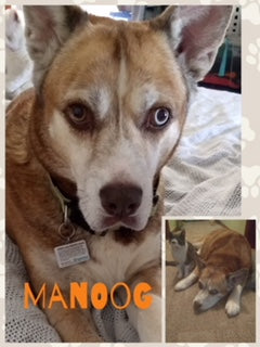 November: Fan of the month