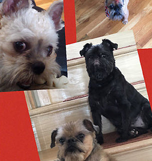 March: Fan of the Month