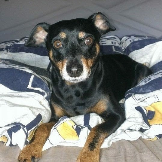 JULY: FAN OF THE MONTH