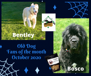 October 2020 Fans of the month