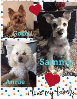 April: Fan of the Month