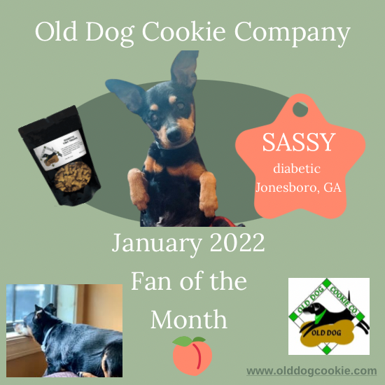 January 2022 Fan of the month