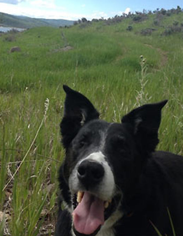 Diabetes and Blindness