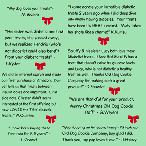 Old Dog Cookie Company eGift Card - HOLIDAY