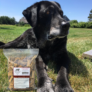 Bulk Arthritis Relief Dog Treats - 5 lb Bag