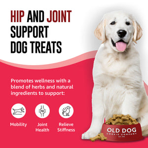 10 oz bag Arthritis Relief Dog Treats