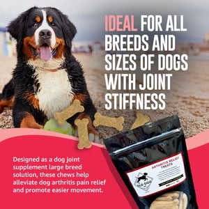 10 oz bag Arthritis Relief Dog Treats