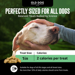 8 oz bag Diabetic TINY Dog Treats