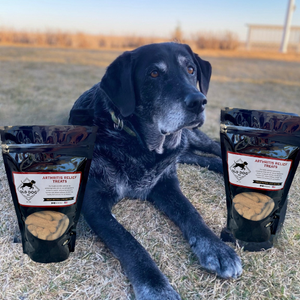 10 oz bag Arthritis Relief Dog Treats
