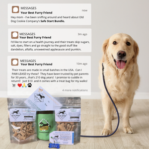 Safe Start Bundle