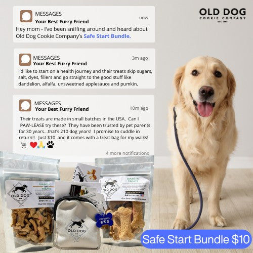 Safe Start Bundle