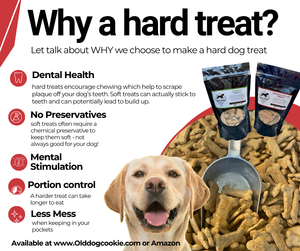 10 oz bag Arthritis Relief Dog Treats