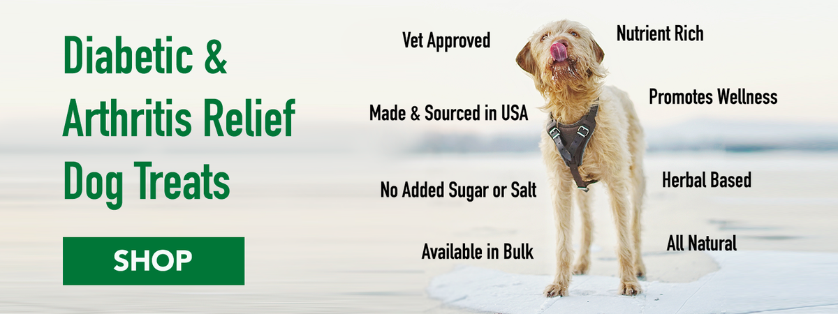 Best treats for dogs with diabetes hot sale